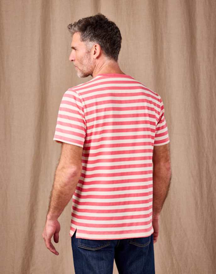 Printed Stripe T Shirt - Pink