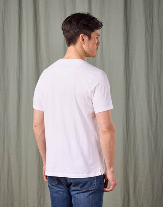 Cotton T Shirt - White