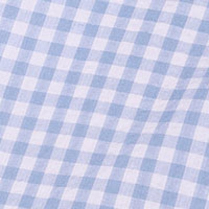 Blue Gingham