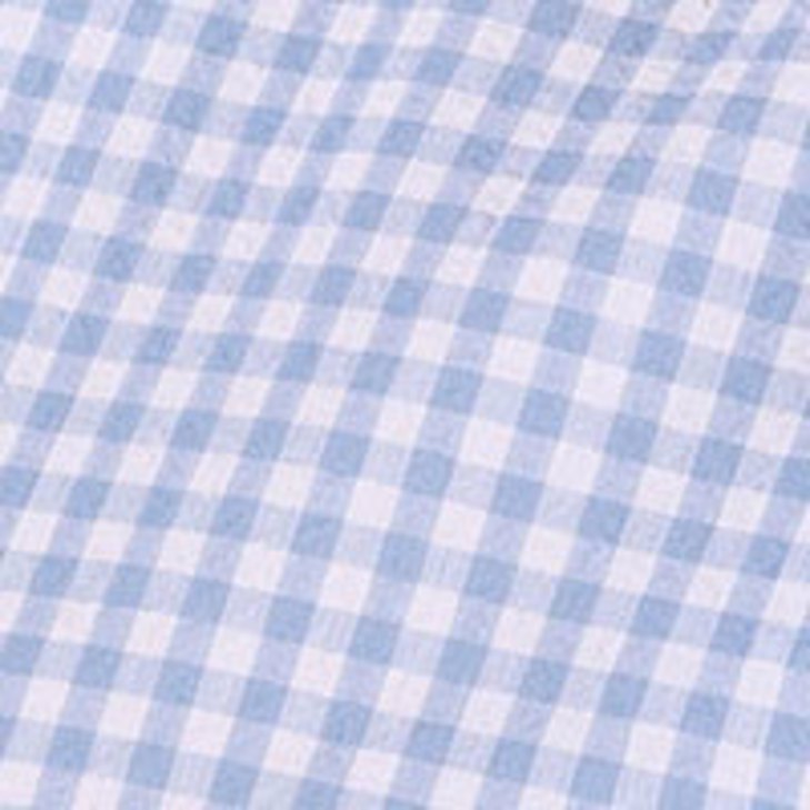 Blue Gingham