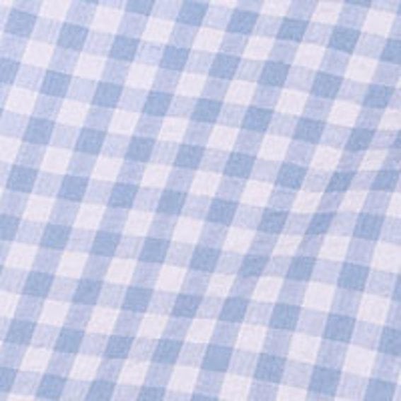 Blue Gingham