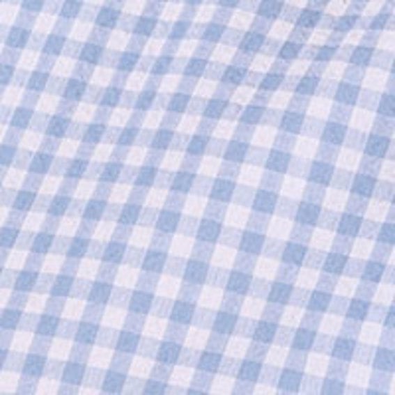 Blue Gingham