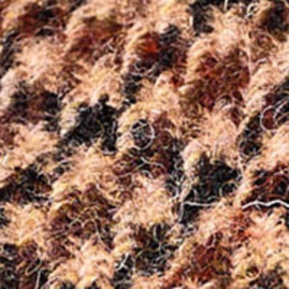 Brown Dogtooth