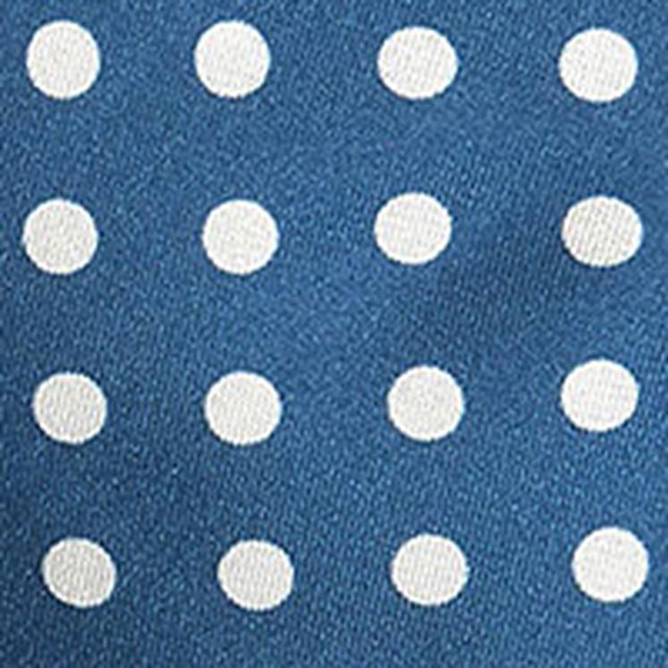 Polka Dots on Blue