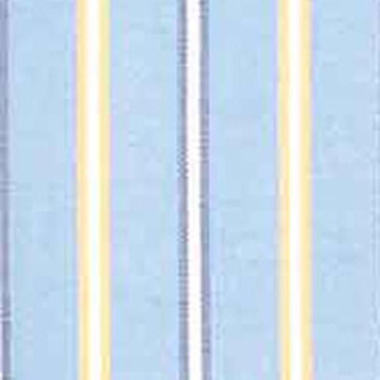 Blue/Yellow (brushed)